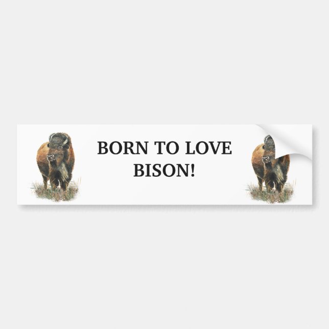 BORN TO LOVE BISON BUFFALO ANIMAL QUOTE ART BUMPER STICKER (Front)