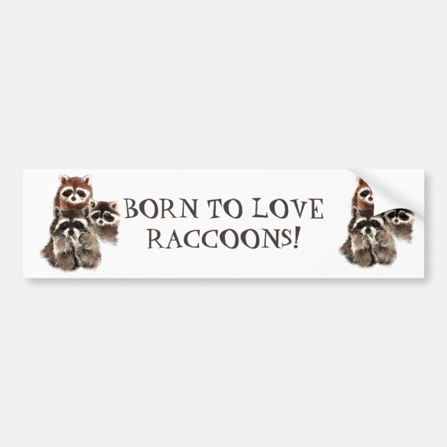 BORN TO LOVE RACCOONS FUNNY ANIMAL QUOTE BUMPER STICKER (Front)