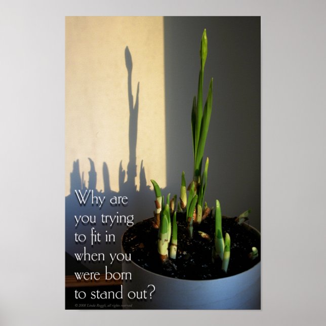 Born to Stand Out Poster (Front)
