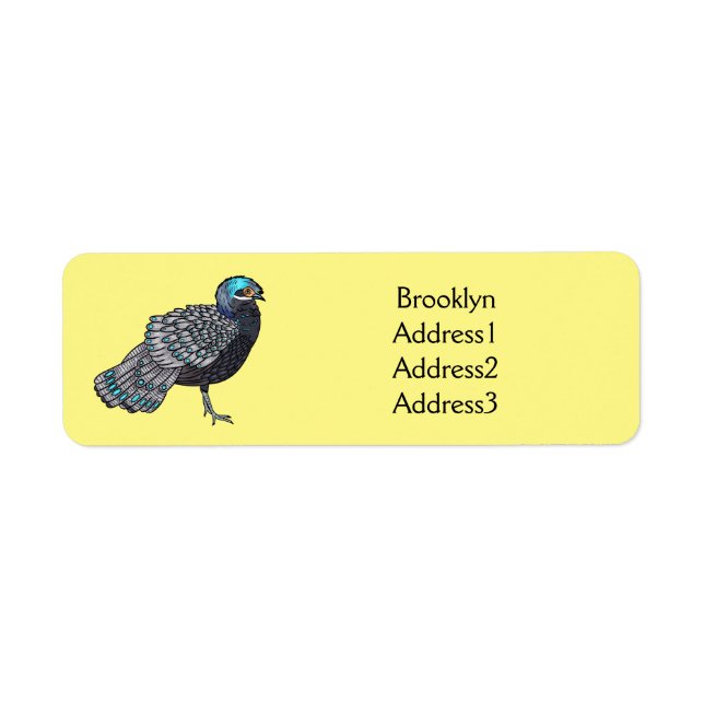 Bornean peacock-pheasant bird cartoon illustration (Front)