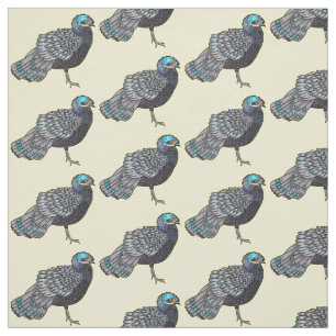 Bornean peacock-pheasant bird cartoon illustration fabric