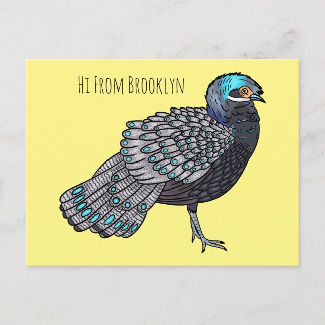Bornean peacock-pheasant bird cartoon illustration postcard (Front)