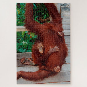 Borneo orangutan 1014-pc jigsaw puzzle