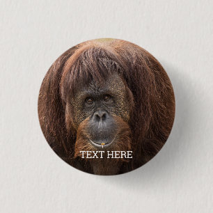 Borneo Orangutan Beautiful Photography 3 Cm Round Badge