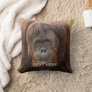 Borneo Orangutan Beautiful Photography Cushion