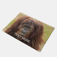 Borneo Orangutan Beautiful Photography