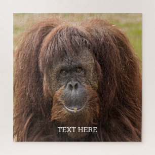 Borneo Orangutan Beautiful Photography Jigsaw Puzzle