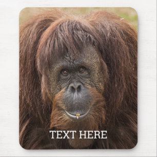 Borneo Orangutan Beautiful Photography Mouse Pad
