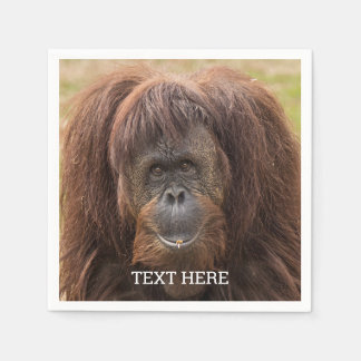 Borneo Orangutan Beautiful Photography Napkin