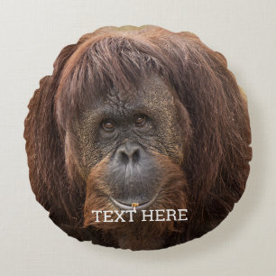 Borneo Orangutan Beautiful Photography Round Cushion
