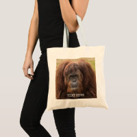Borneo Orangutan Beautiful Photography
