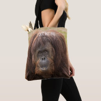 Borneo Orangutan Beautiful Photography