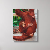 Borneo orangutan
