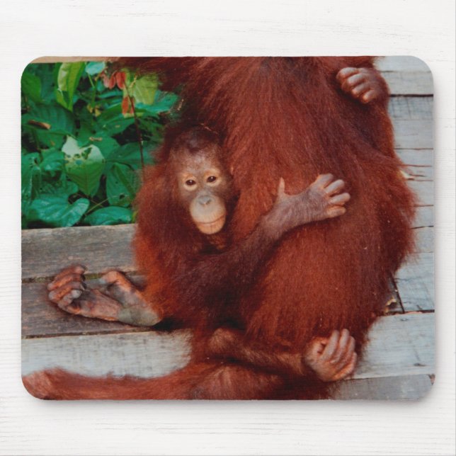 Borneo orangutan mouse pad (Front)
