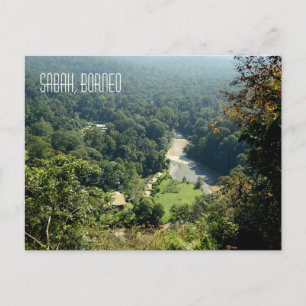 Borneo Rainforest Jungle Aerial View Photograph Postcard