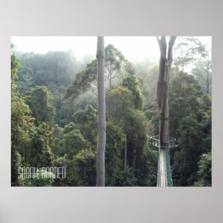 Borneo Rainforest Jungle Treetops Walkway Sabah Poster