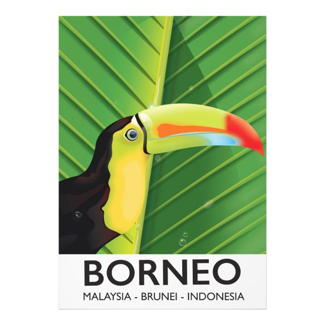 Borneo Toucan travel poster (Front)