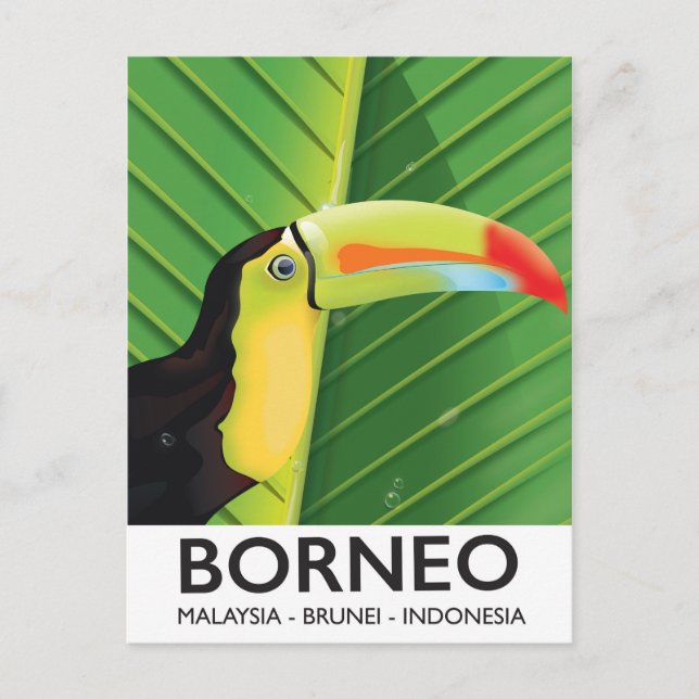 Borneo Toucan travel poster Postcard (Front)