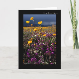Borrego Springs, California Card