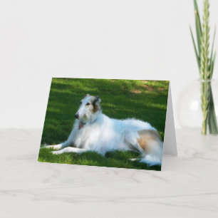 "Borzoi" Dog Photo Greeting Card