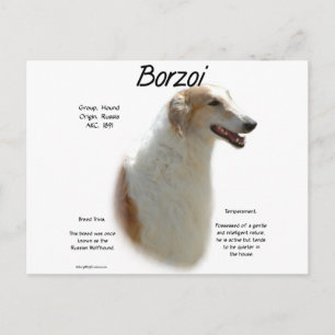 Borzoi History Design Postcard
