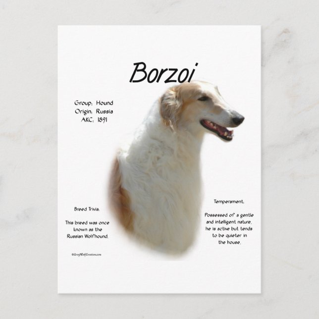 Borzoi History Design Postcard (Front)
