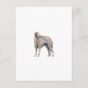 Borzoi Postcard