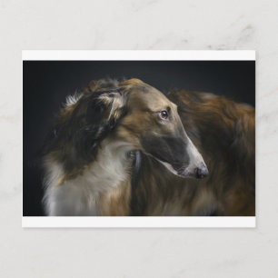borzoi postcard