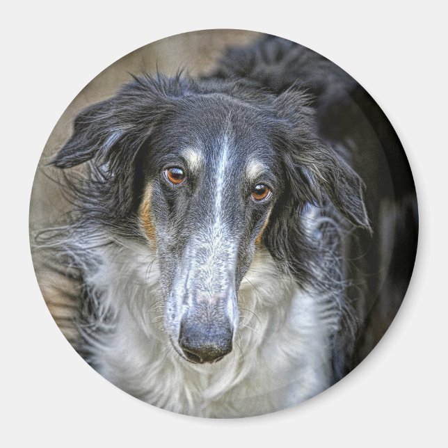 Borzoi Rescue Dog Magnet (Front)