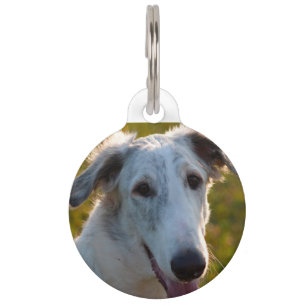 Borzoi Russian Wolfhound Dog. Pet Tag