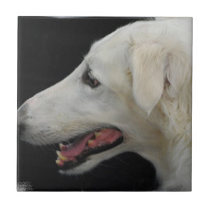 Borzoi Tile