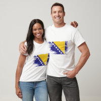 Bosnia and Herzegovina Flag Brush Art