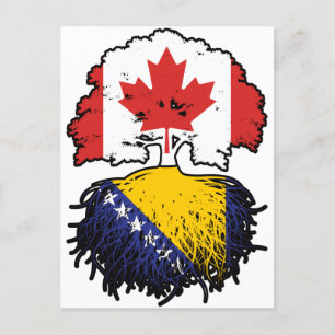 Bosnia Bosnian Canadian Canada Tree Roots Flag Postcard
