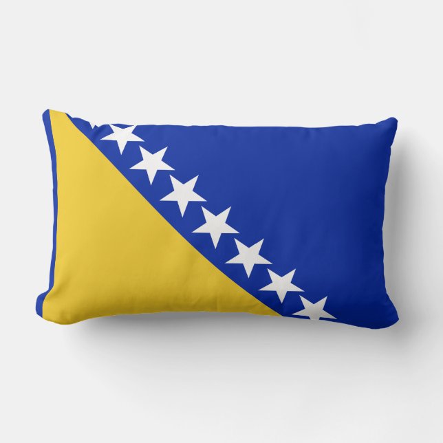Bosnia Flag Lumbar Cushion (Front)