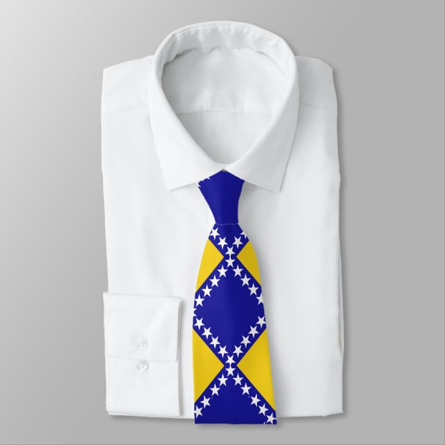 Bosnia flag pattern tie (Tied)