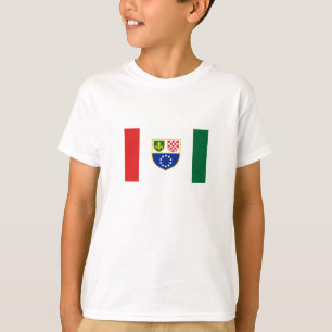 Bosnia Herzegovina Federation Flag T-Shirt