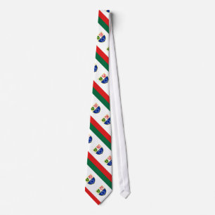 Bosnia Herzegovina Federation Flag Tie