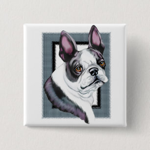 Boson Terrier Boston Style 15 Cm Square Badge