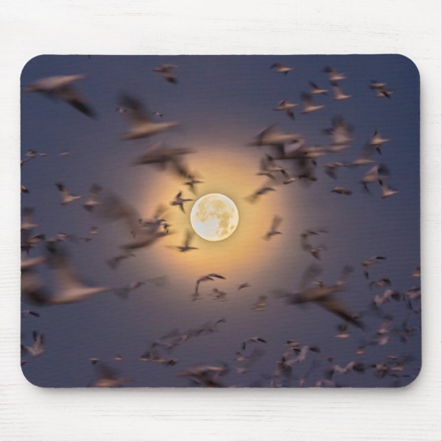 Bosque del Apache National Wildlife Refuge Mouse Pad (Front)