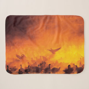 Bosque del Apache National Wildlife Refuge, NM Sherpa Blanket