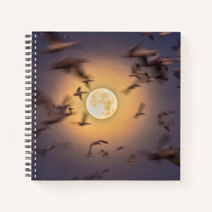 Bosque del Apache National Wildlife Refuge Notebook