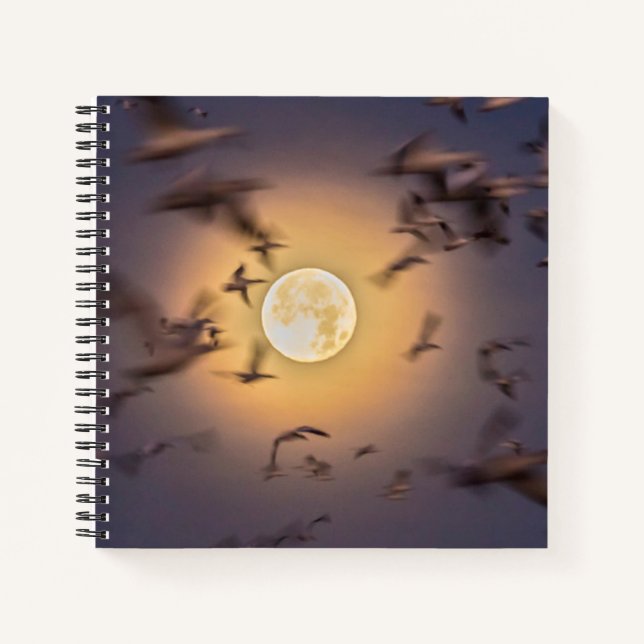 Bosque del Apache National Wildlife Refuge Notebook (Front)