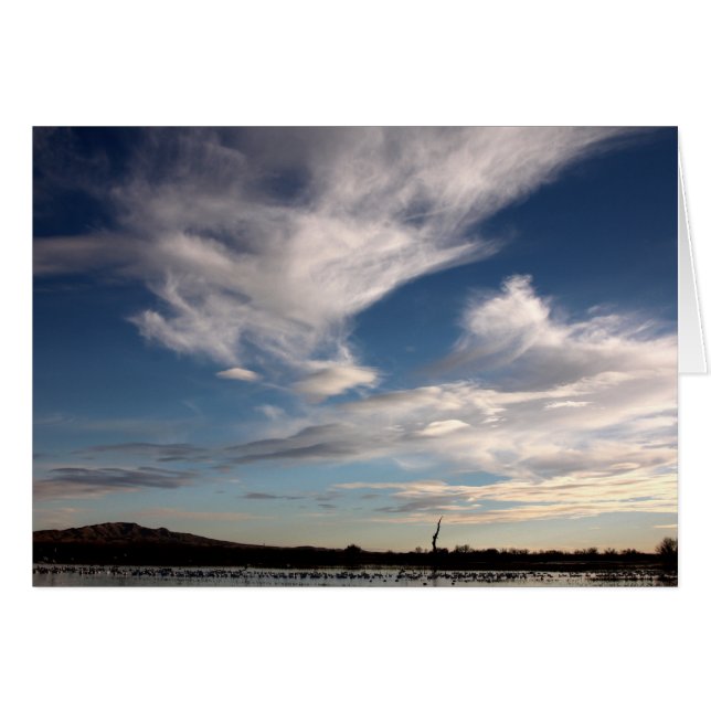 Bosque del Apache, New Mexico (Front Horizontal)