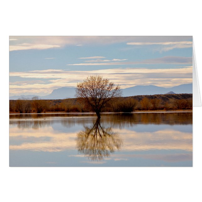 Bosque del Apache, New Mexico (Front Horizontal)