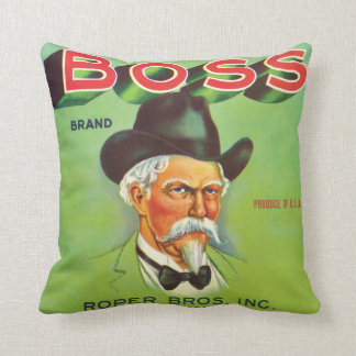 BOSS Brand Winter Garden Florida Vintage Label Art Cushion