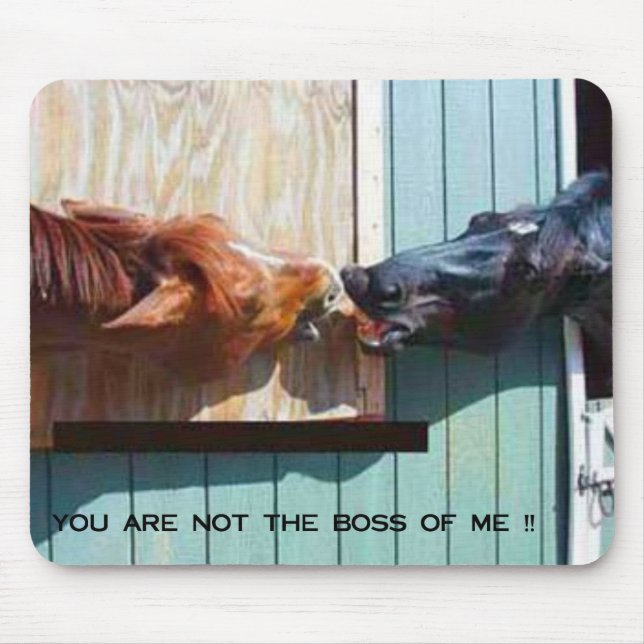 BOSS MOUSE PAD (Front)