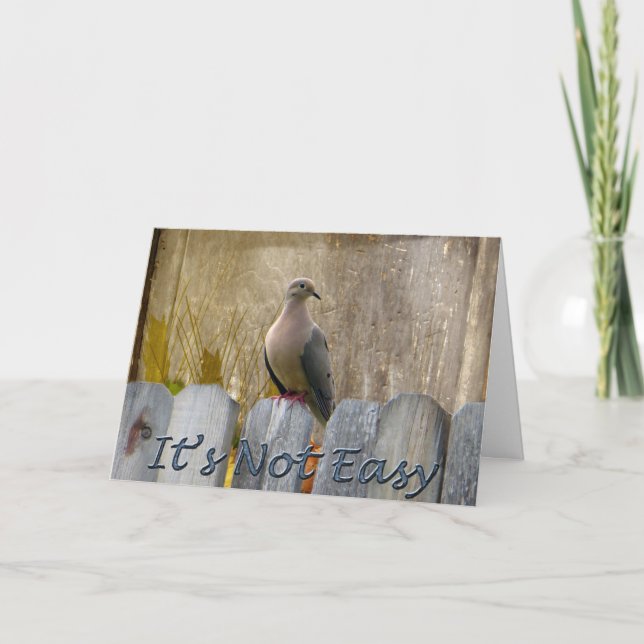Boss's Day Love Dove Card (Front)