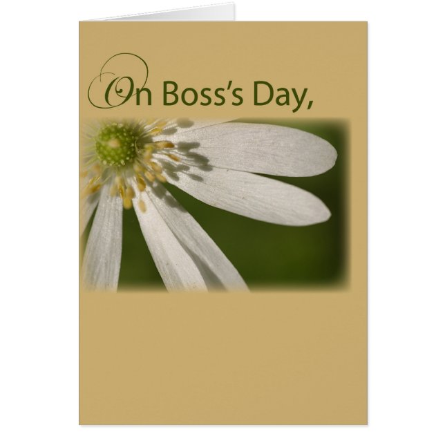 Boss's Day White Flower (Front)