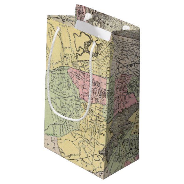 Boston 3 small gift bag (Back Angled)