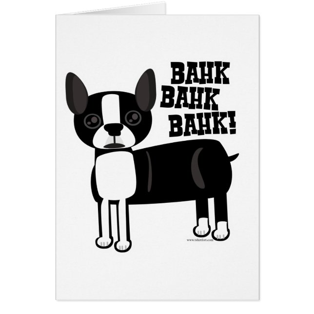 Boston Accent Terrier Fun (Front)